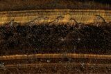 Polished Tiger's Eye Slab - South Africa #355283-1